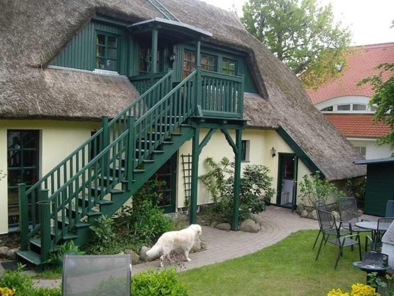Schilfdachvilla Zeesboothaus WE308 Kleinhagen Exterior foto